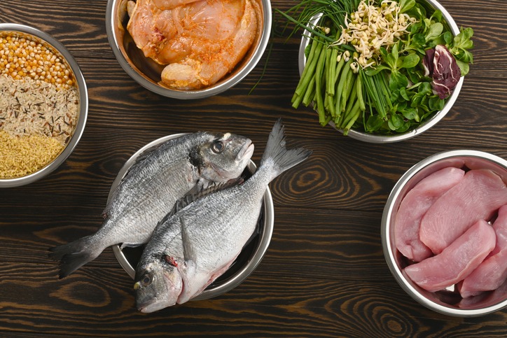 Homemade cat food ingredients