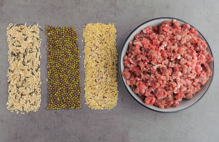 Natural raw ingredients for homemade cat food