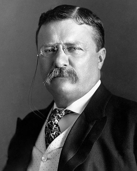 President Theodore Roosevelt