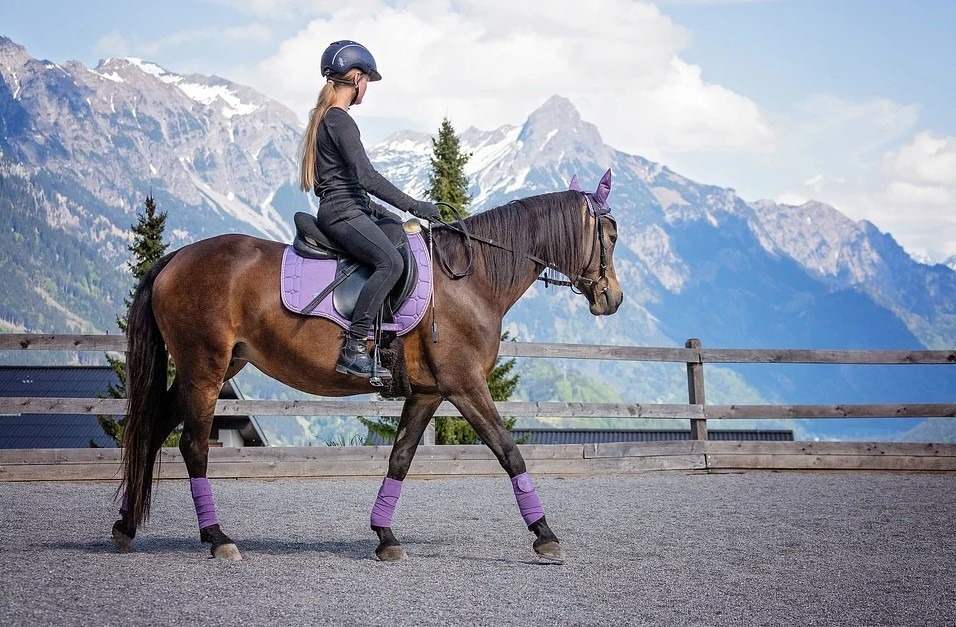 woman riding a horse