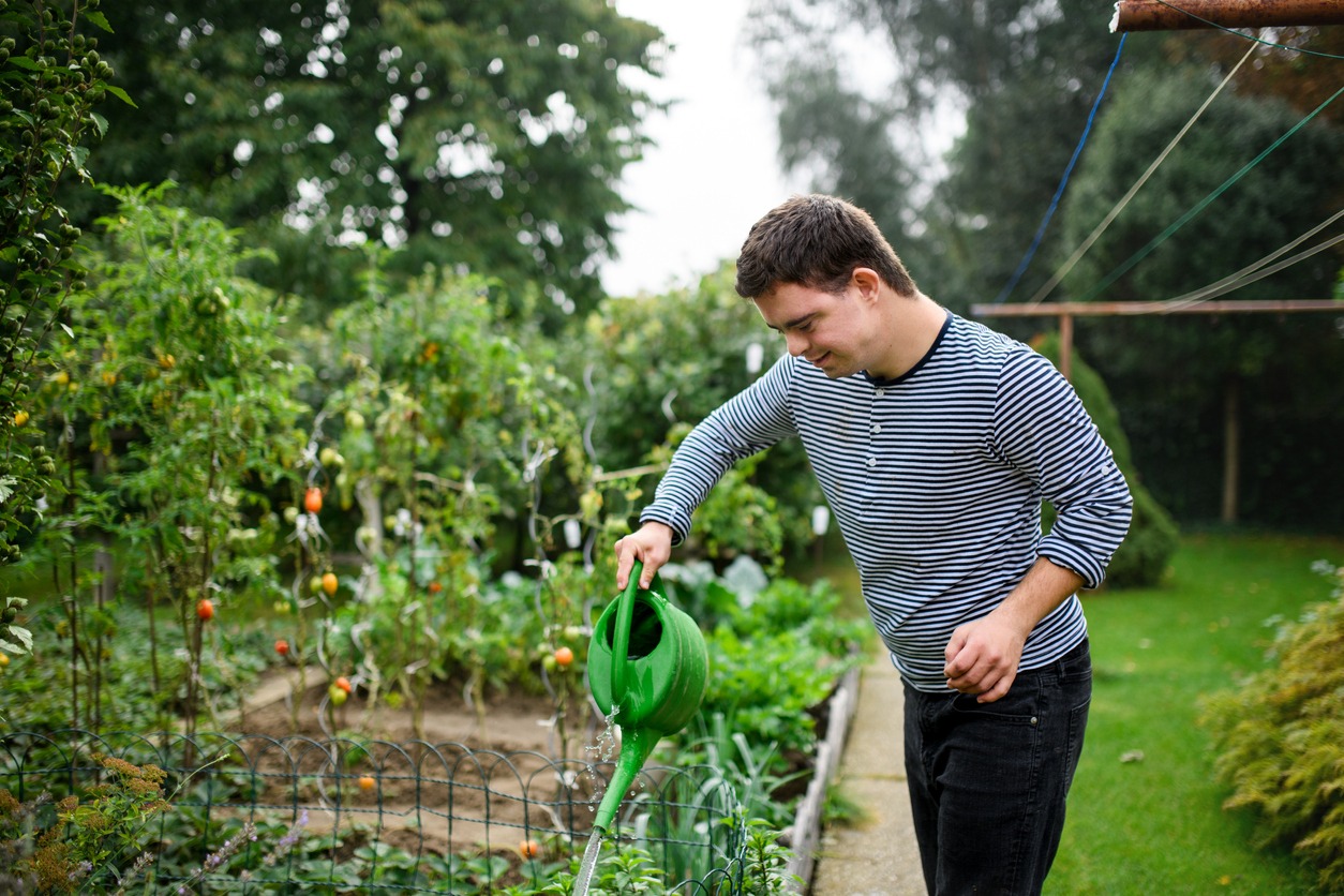 A man watering his plants in a garden