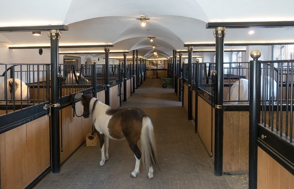 a clean horse stable