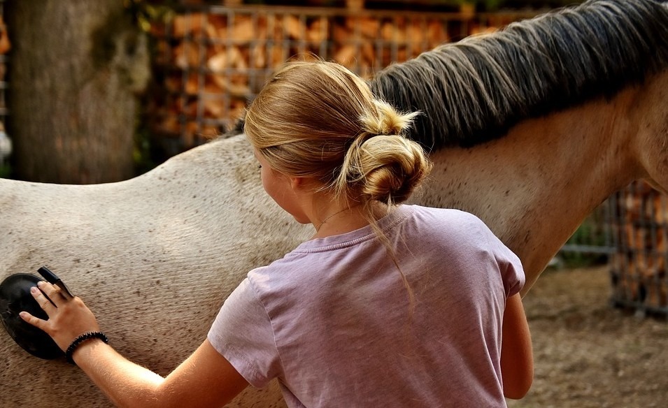 woman scrubbing a horse