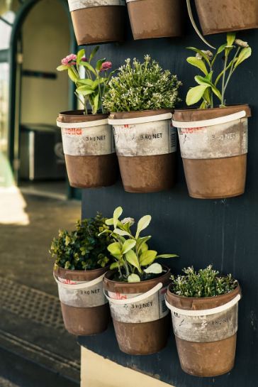 A closeup photo of six potted plants