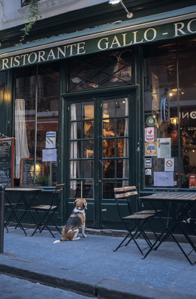 Ristorante Gallo shop, with a dog waiting outside
