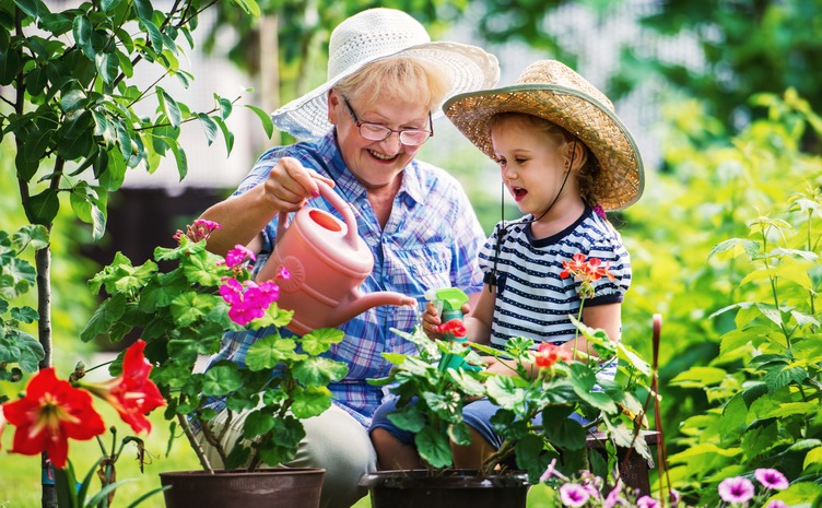 Gardening with a kids. Senior woman and her grandchild working in the garden with a plants