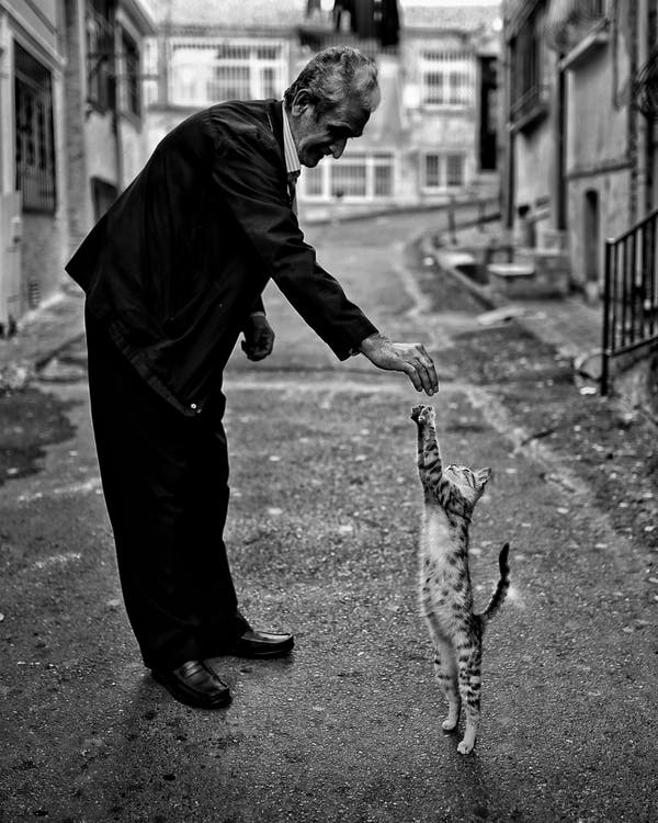 Image showing an elderly man playing with his cat.