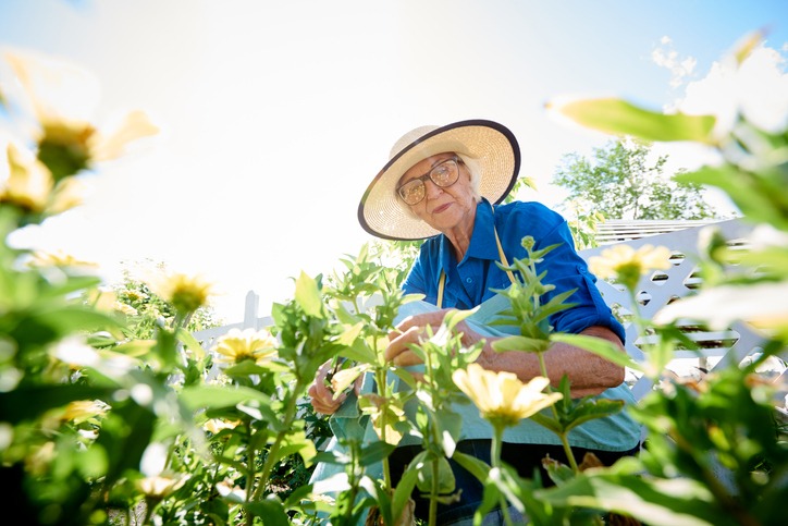Senior Woman Planting Flowers