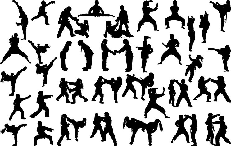 Many moves of Karate