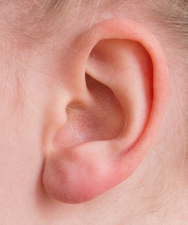 close up picture of human ear