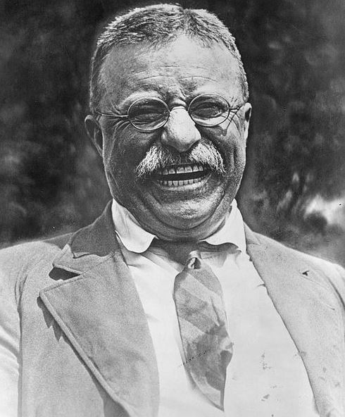 What made Theodore Roosevelt such an Iconic President